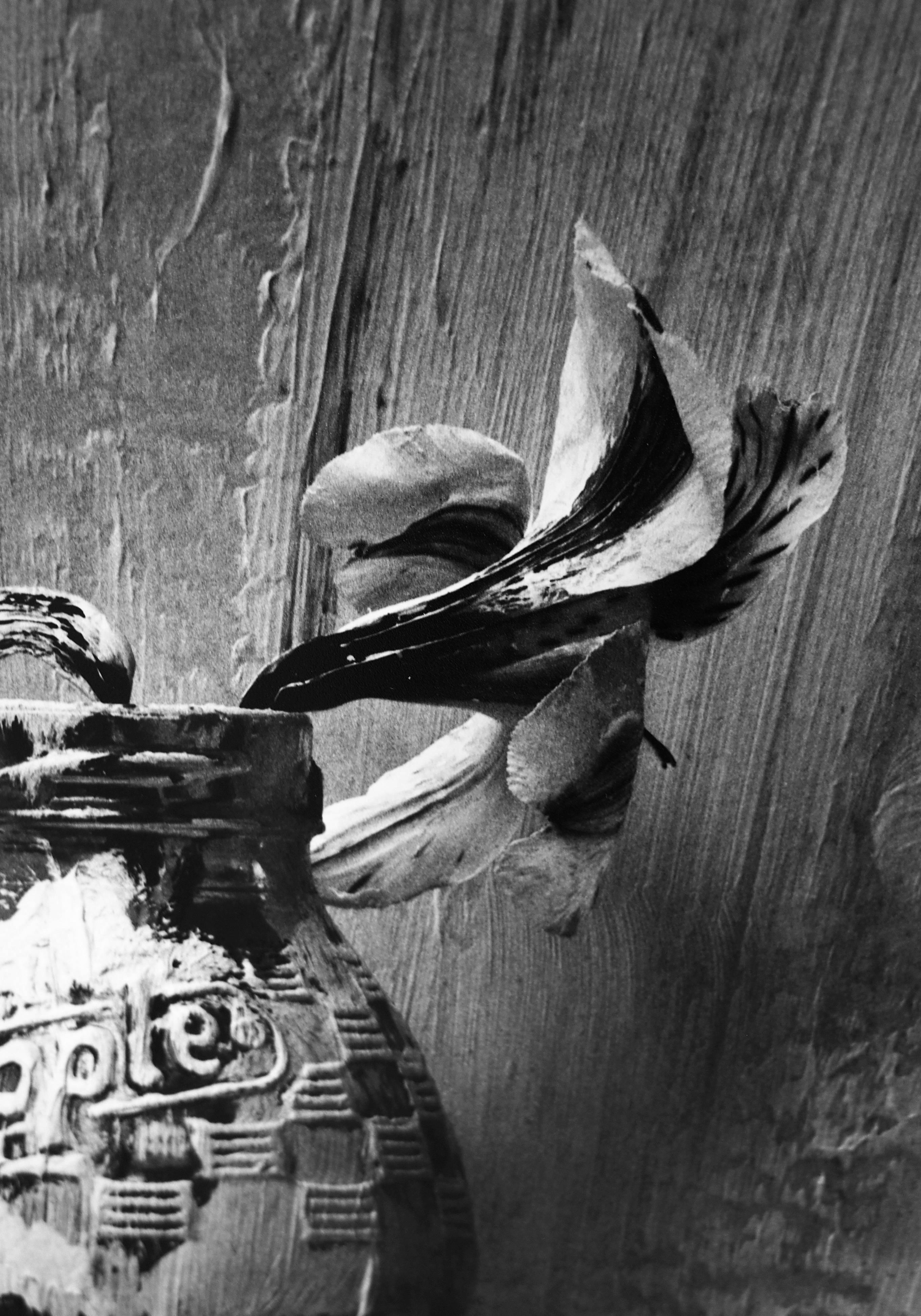 Picture of Painted Bottle with Flower, Black and white Still life photography - Photograph by Alexandra Catiere