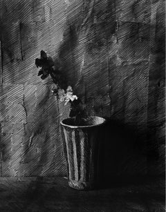 Black and White Photo of drawing on paper, wrapped around jar and Flower