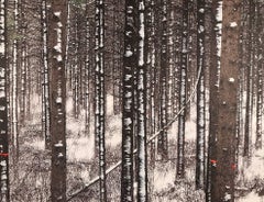 Forest with white trees, Birch forest, 