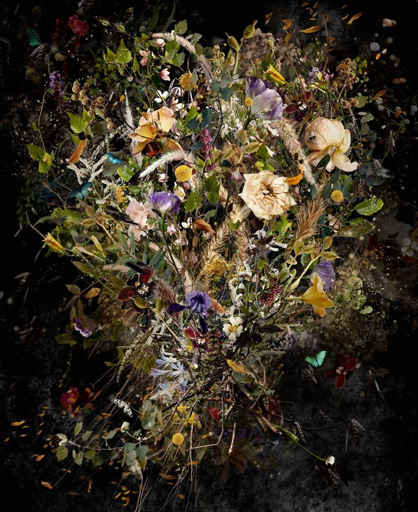 Ysabel Lemay Color Photograph - Photo composition with flowers and butterflies, dark background, Intemporel