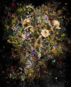 Photo composition with flowers and butterflies, dark background, Intemporel