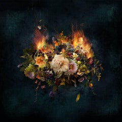 Photo composition with flowers and fruits, dark background, The  Fire Within