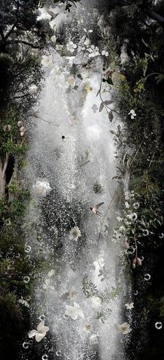 Photo composition with water fall, flowers and birds, divin feeling, Whispers