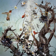 Photo composition with dead trees, flowers and birds, bleu sky, Passing by