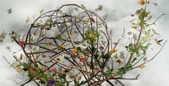 Photo composition with flowers, birds and branches, cloudy, Wonderment