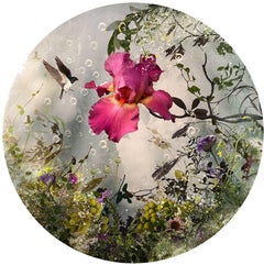 Photo composition with flowers, birds and bubbles, Arcadia