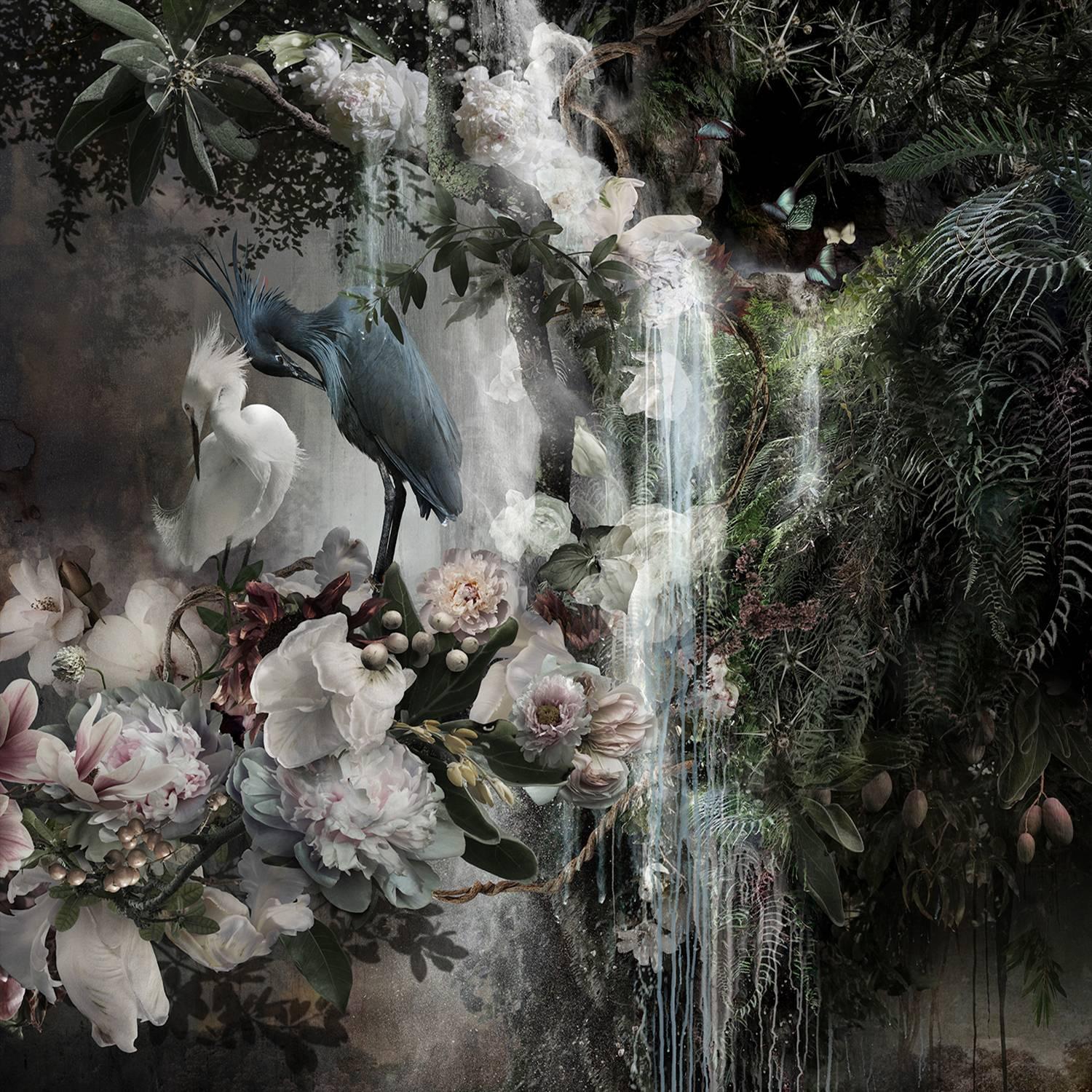 Ysabel Lemay Color Photograph - Photo composition with flowers, birds and trees, divin light, Eden II