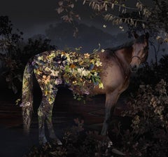 Photo composition with flowers, trees and horse, night, Renaissance