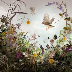 Photo composition with flowers, butterflies, joyful, Repose