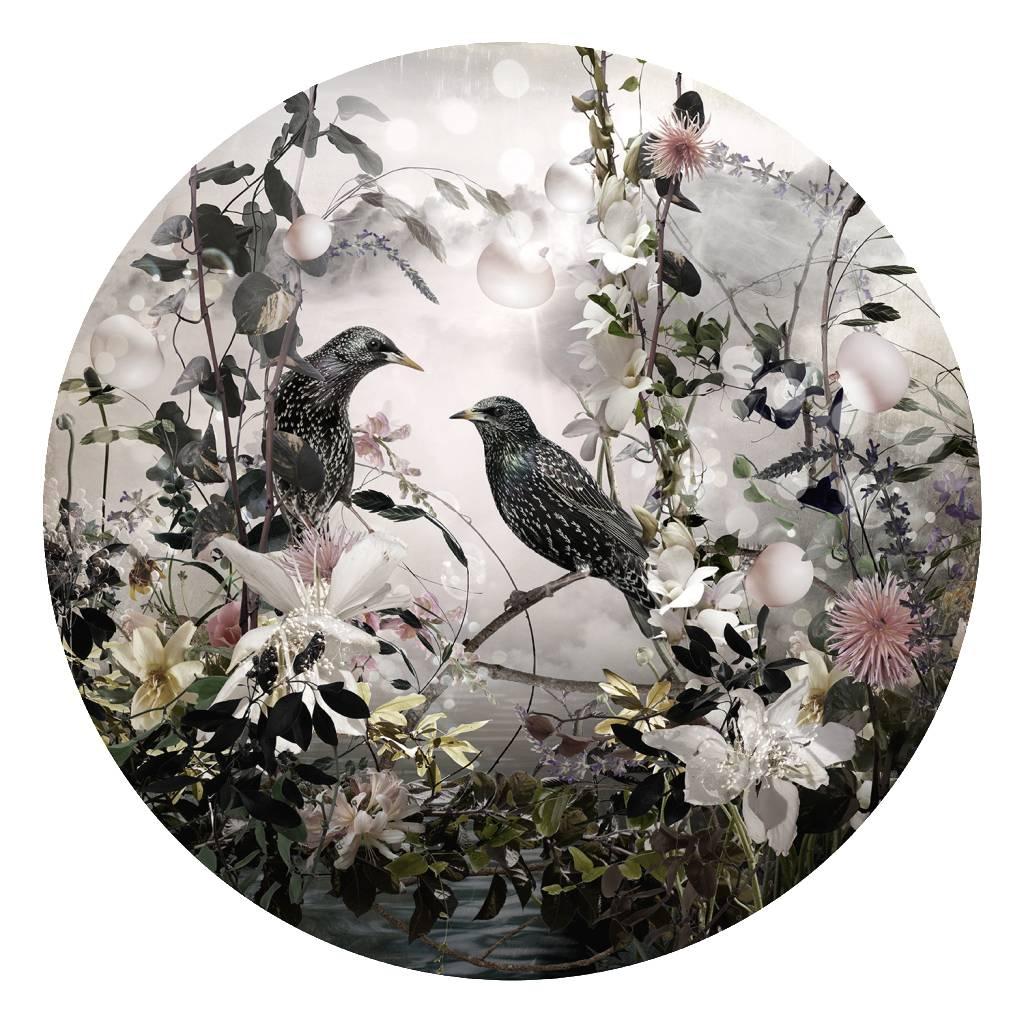 Ysabel Lemay Color Photograph - Photo composition with flowers, birds and water, divin light, The Poets