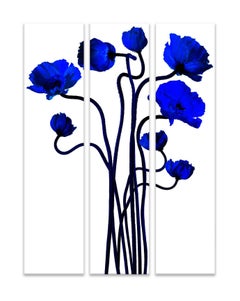 Blue Flowers with long stems, Blue Poppies, Popping Klein
