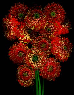 Flower bouquet of Orange Flowers on black background by Albert Delamour