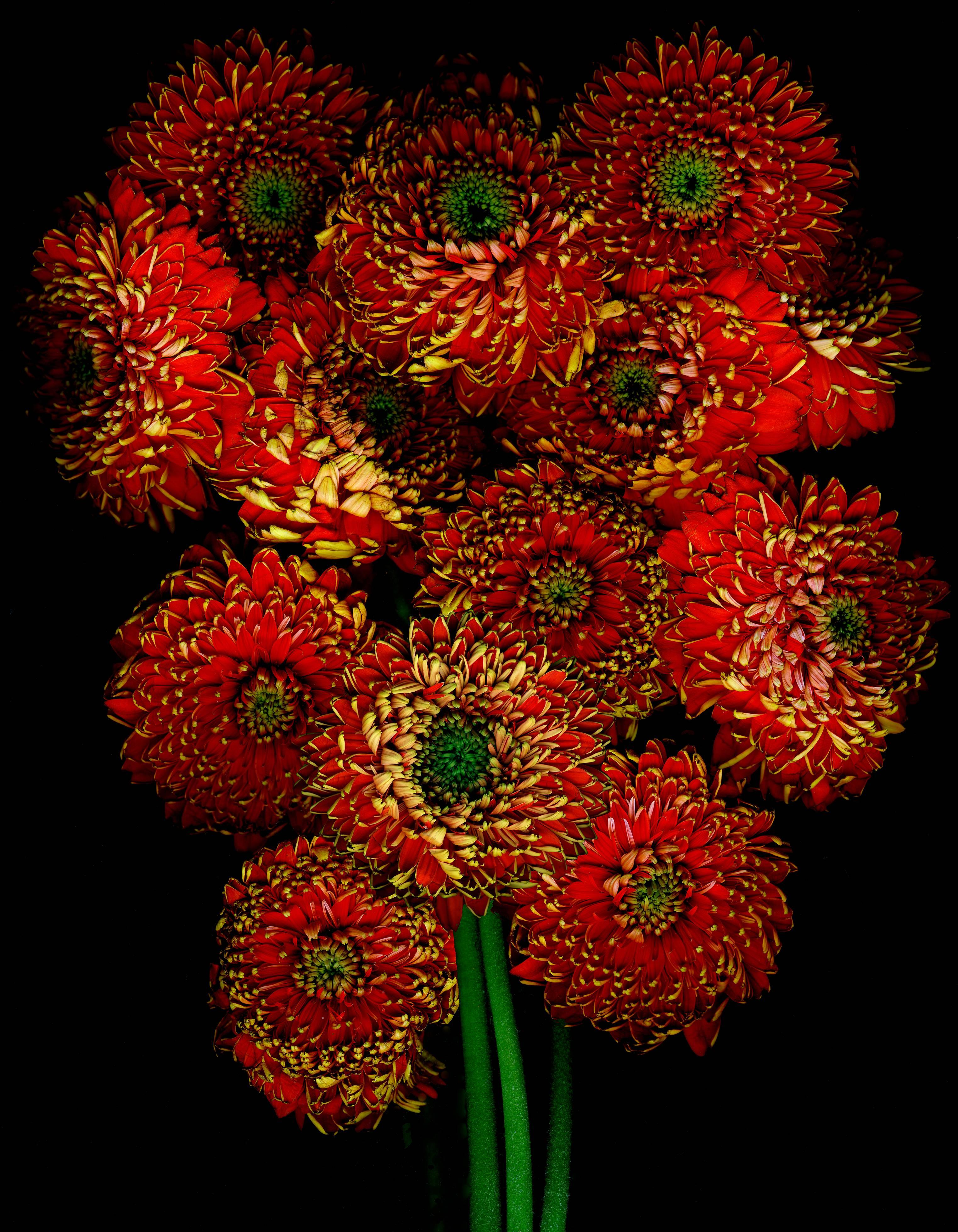 orange flower bouquet