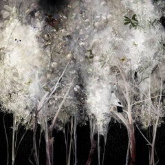 Ysabel Lemay, white feather like trees, birds and butterflies, Illuminated 1