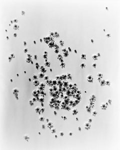 Ramunes No.3 - analogue black and white still life photography, Limited 10
