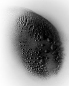 Sandstill n° 8 – photographie analogique en noir et blanc de nature morte, édition limitée à 10 exemplaires