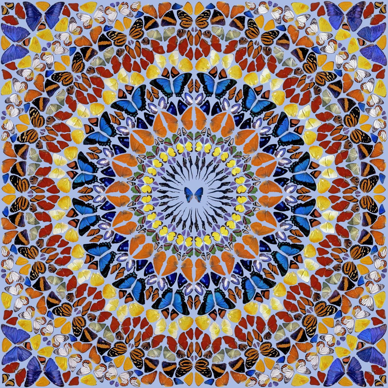 DH_Kindness_Hi_res_z