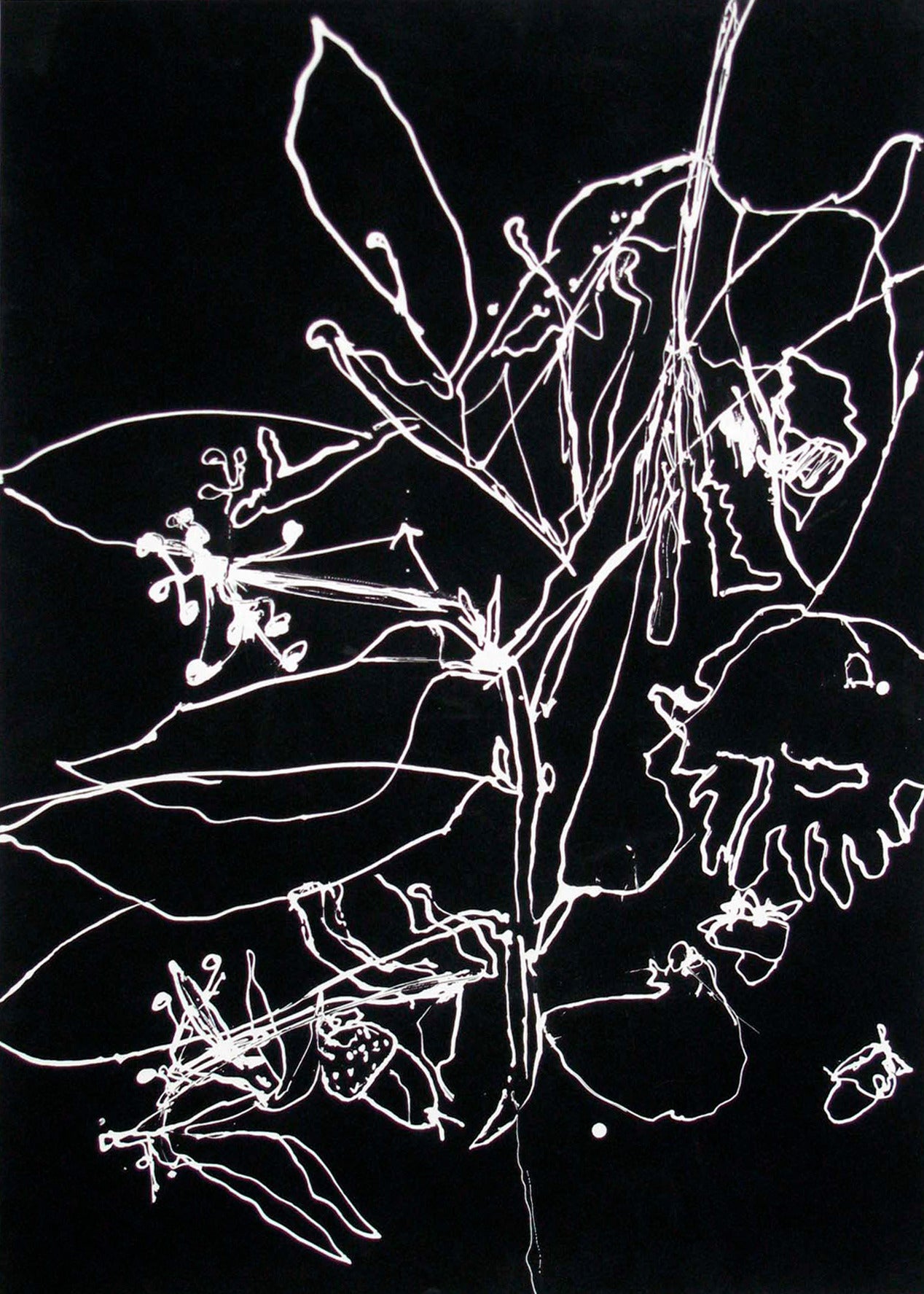 Seismography #22 (Contemporary Abstract Black & White Flower Drawing, Framed)
