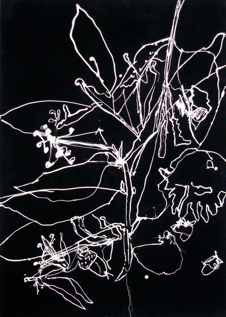 Anne Francey Seismography 22 Contemporary Abstract Black And