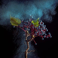 Ivy Berry (Modern Fruit Still Life Photograph of Grapes with Blue Paint Details)