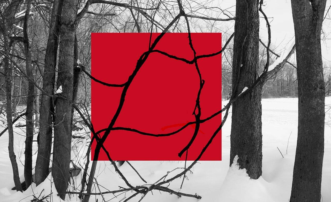 Stephanie Blumenthal Landscape Photograph - Red Square (Modern Abstract B&W Gestural Tree Outlines with Graphic Red Square)