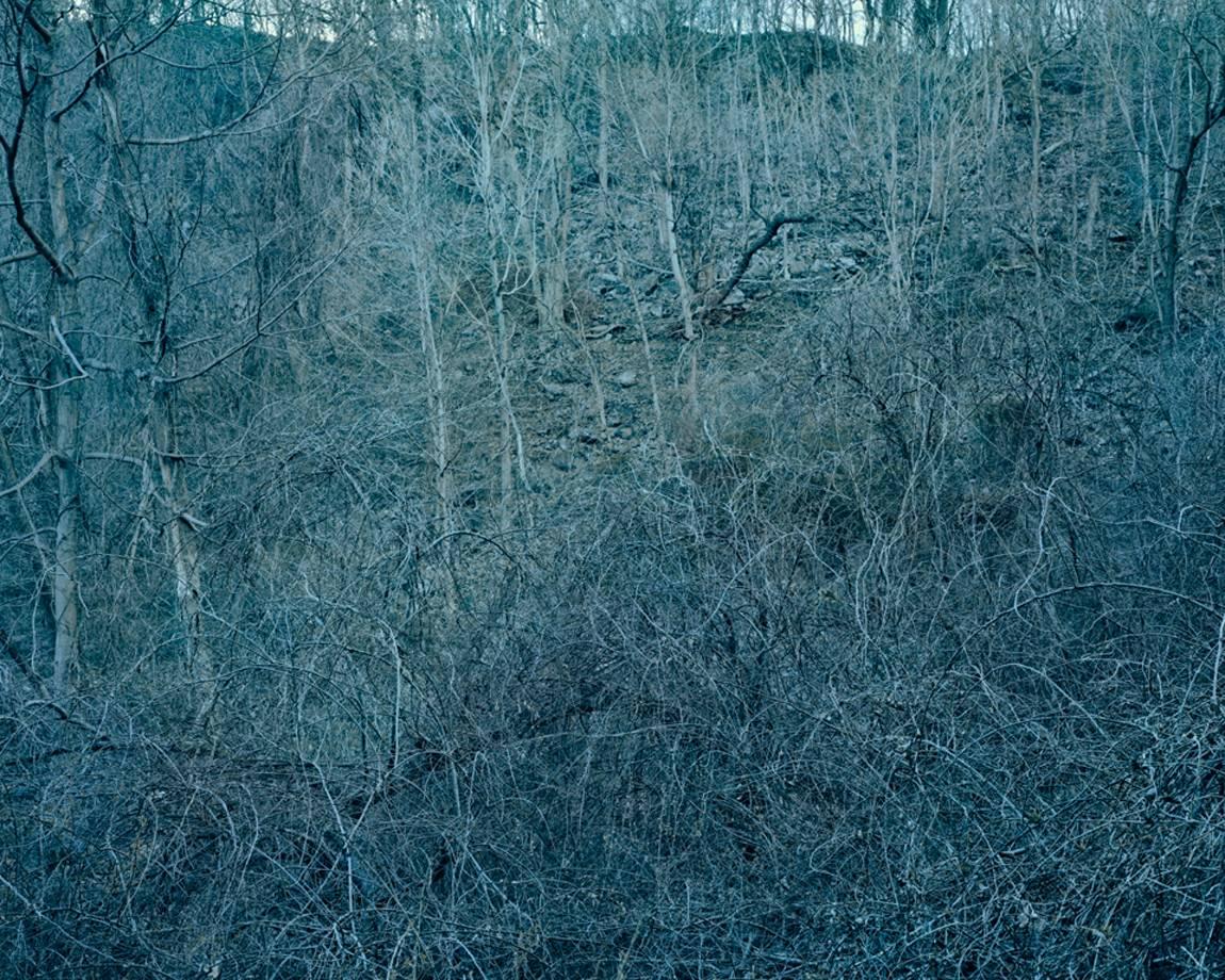 Anna Collette Landscape Photograph - Untitled (Dark Landscape #65)