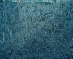 Untitled (Dark Landscape #65)