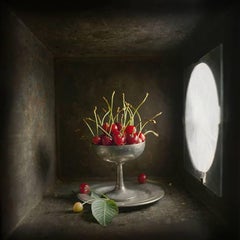 Cherries (Contemporary Still Life Study of Red Cherries in Light Box)