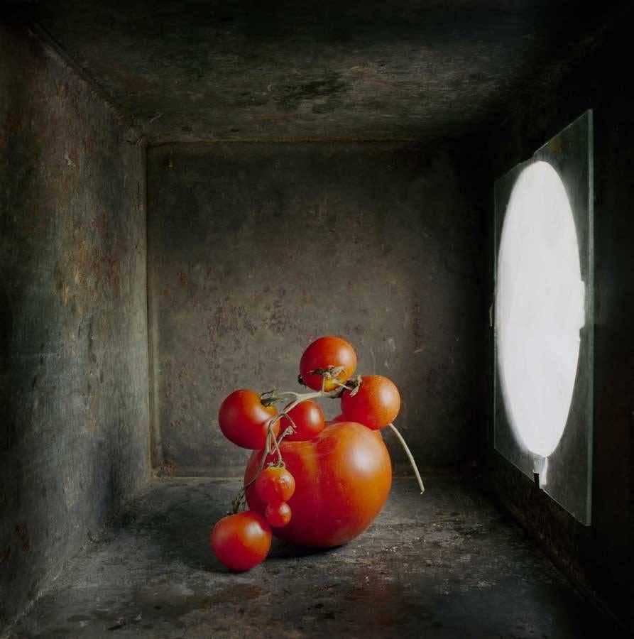 David Halliday Still-Life Photograph – Kirschbaumholz- Tomaten (Zeitgenössische Stilllebenstudie in Lichtkasten mit gedrehtem Licht)