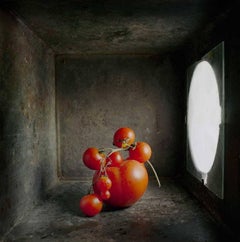 Kirschbaumholz- Tomaten (Zeitgenössische Stilllebenstudie in Lichtkasten mit gedrehtem Licht)