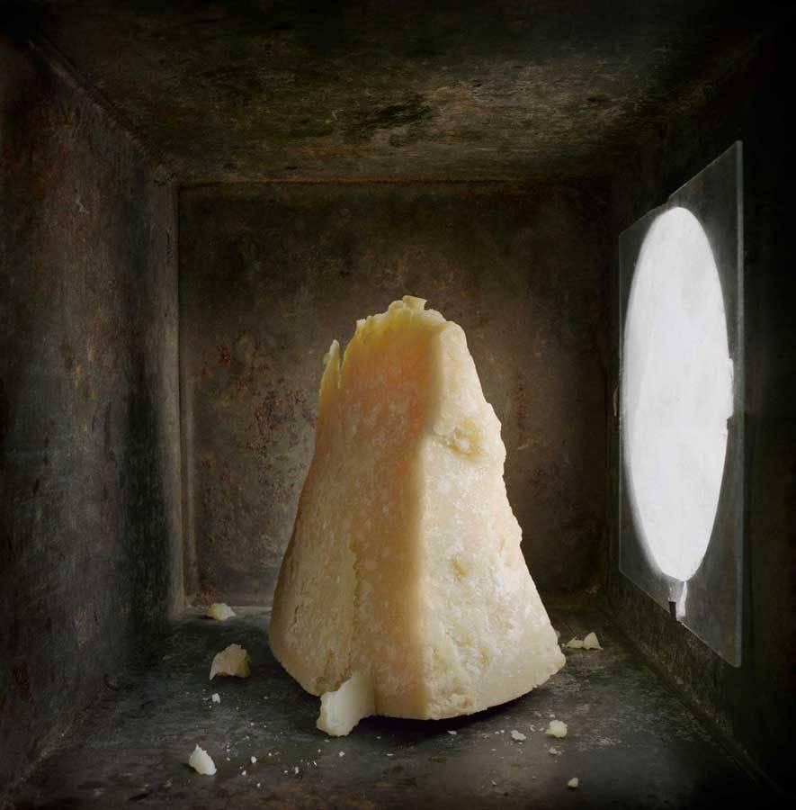 David Halliday Still-Life Photograph – Parmesan (Zeitgenössische Stilllebenstudie in Lichtkasten mit gedämpftem Licht)