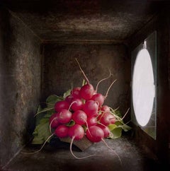 Used Radishes (Contemporary Still Life Study in Light Box with Diffused Light)