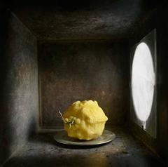 Lemon (Contemporary Still Life Study in Color Light Box)