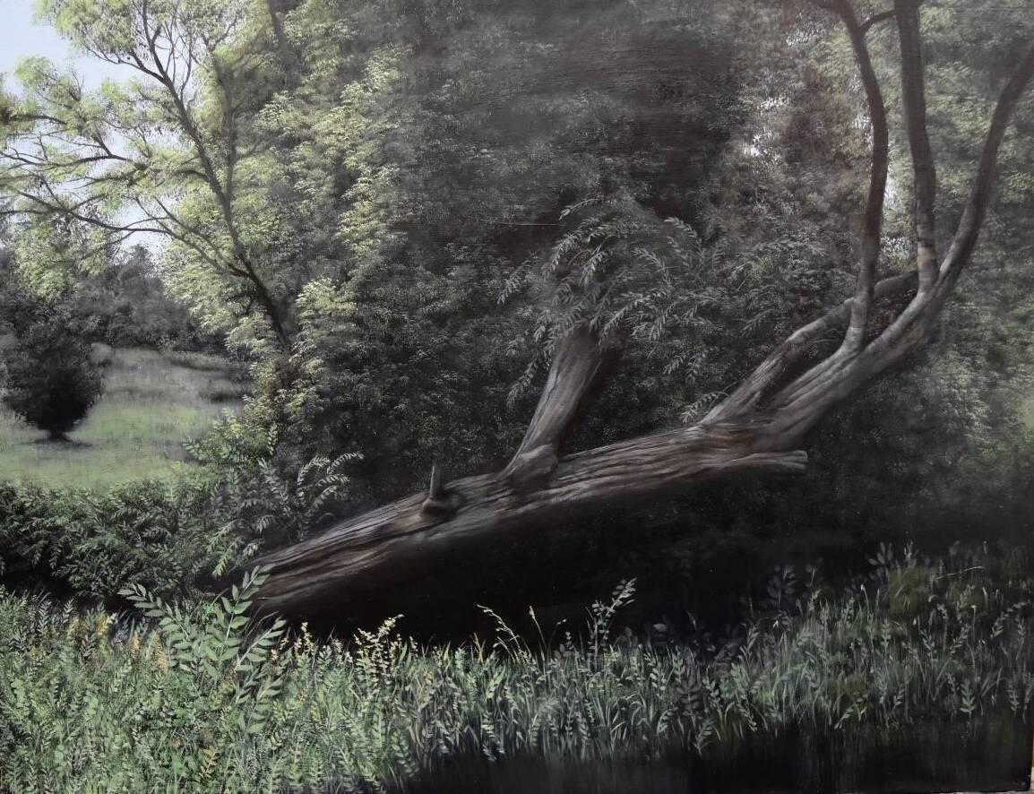 Eileen Murphy Landscape Painting - Fallen (Modern Realistic Landscape Oil Painting on Panel of Tree in Green Grass)
