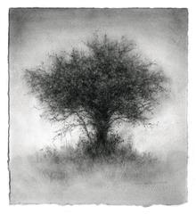 Là-bas (petit dessin contemporain d'un paysage anthracite d'un seul arbre)