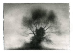 Kernel (Dibujo realista a carboncillo en blanco y negro de un gran árbol en pie)