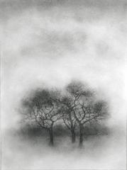 Trio (Realistic, Modern Black & White Charcoal Drawing of Three Trees)