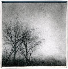 Vignette (Realistic Black & White Charcoal Landscape Drawing of Two Trees)