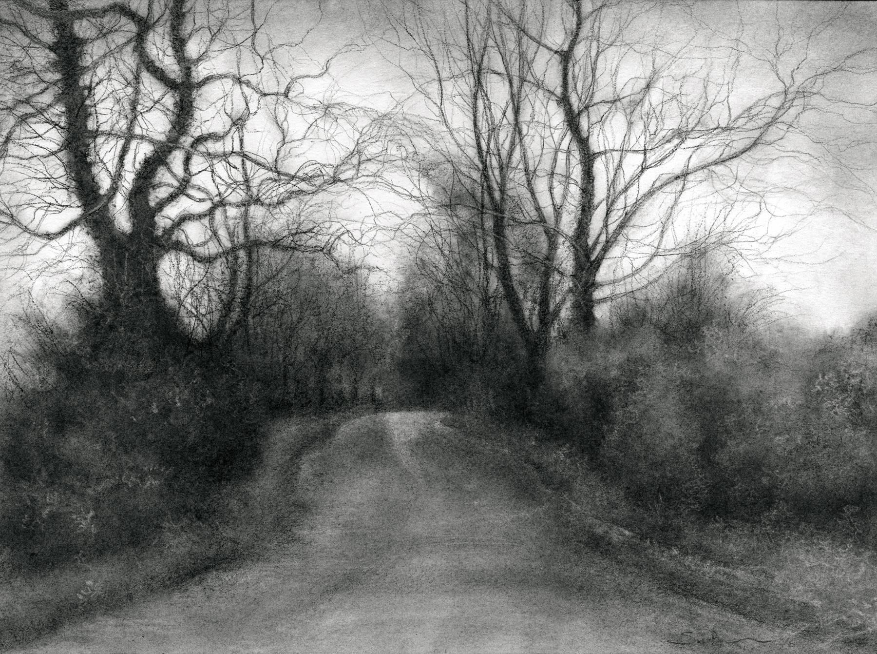 Rural Road 7 (Realistic Black & White Charcoal Drawing of Country Road & Trees) - Art by Sue Bryan