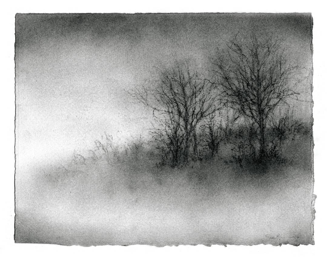 Winter Trees (Realistic, Modern Black & White Charcoal Drawing of Two Trees) - Art by Sue Bryan