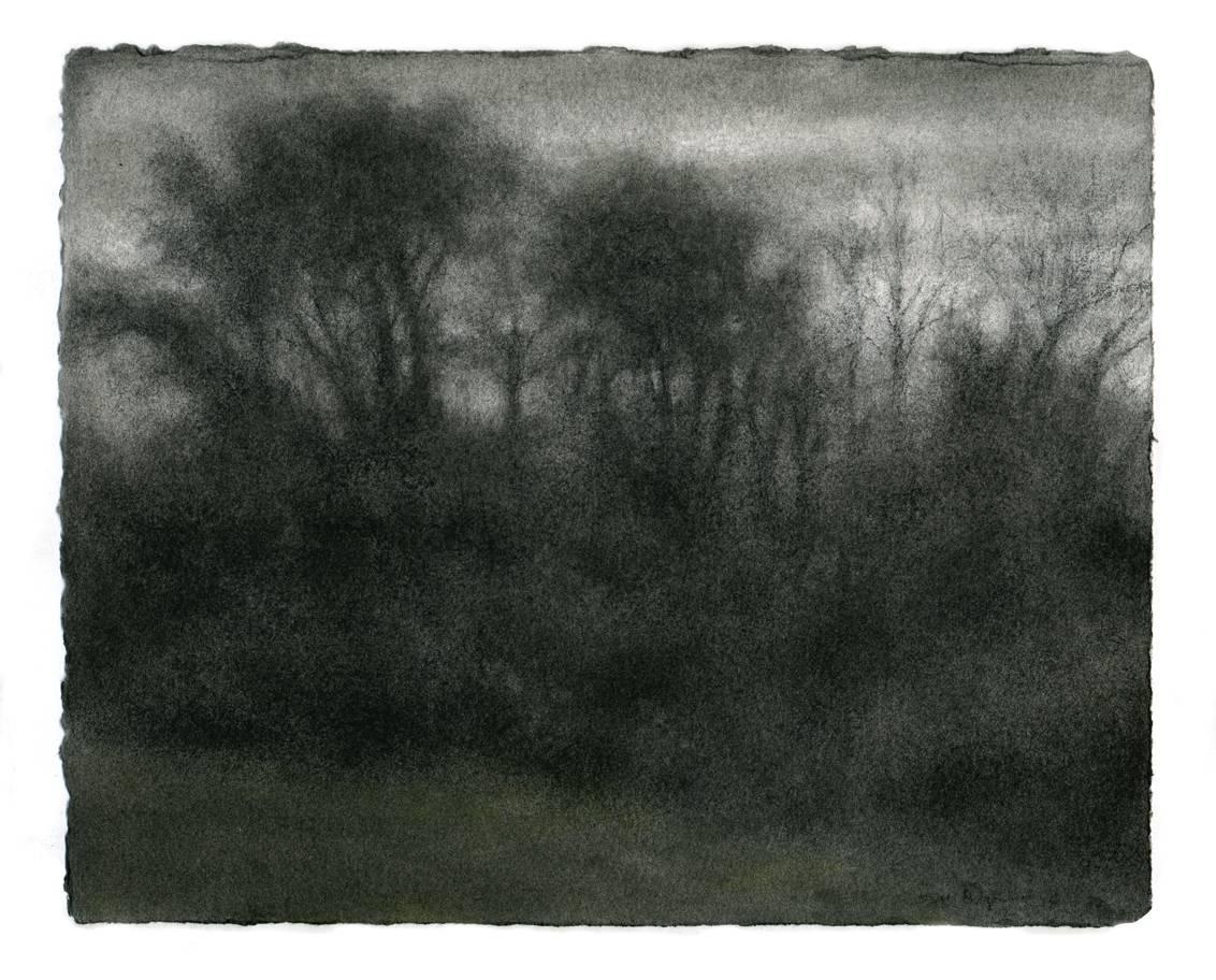 Landscape Art de Sue Bryan - Vista invernal 1, Hudson: Dibujo a carboncillo en blanco y negro y pastel verde de un bosque