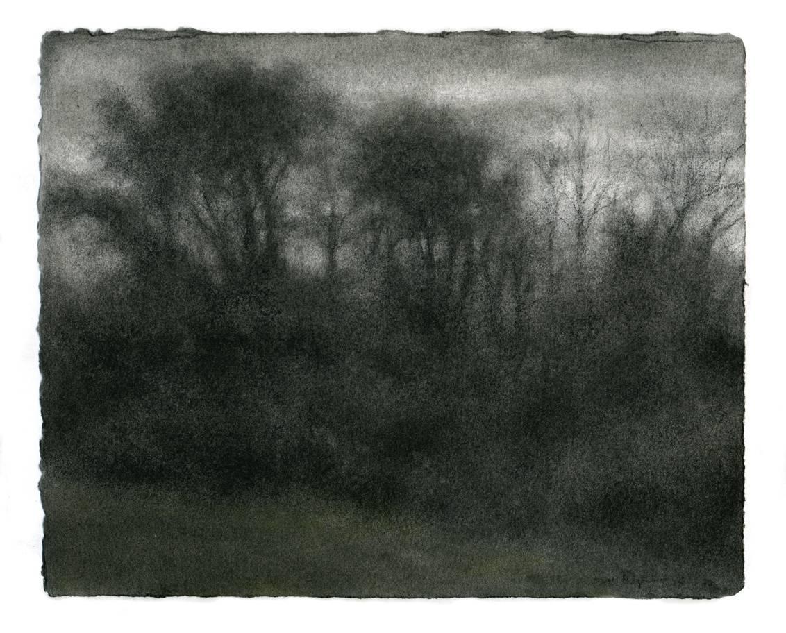 Sue Bryan Landscape Art - Winter View 1, Hudson: Black & White Charcoal and Green Pastel Drawing of Forest