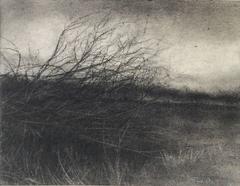 Bog Bank, March (Modern, Realistic Black 
White Charcoal Landscape Drawing)