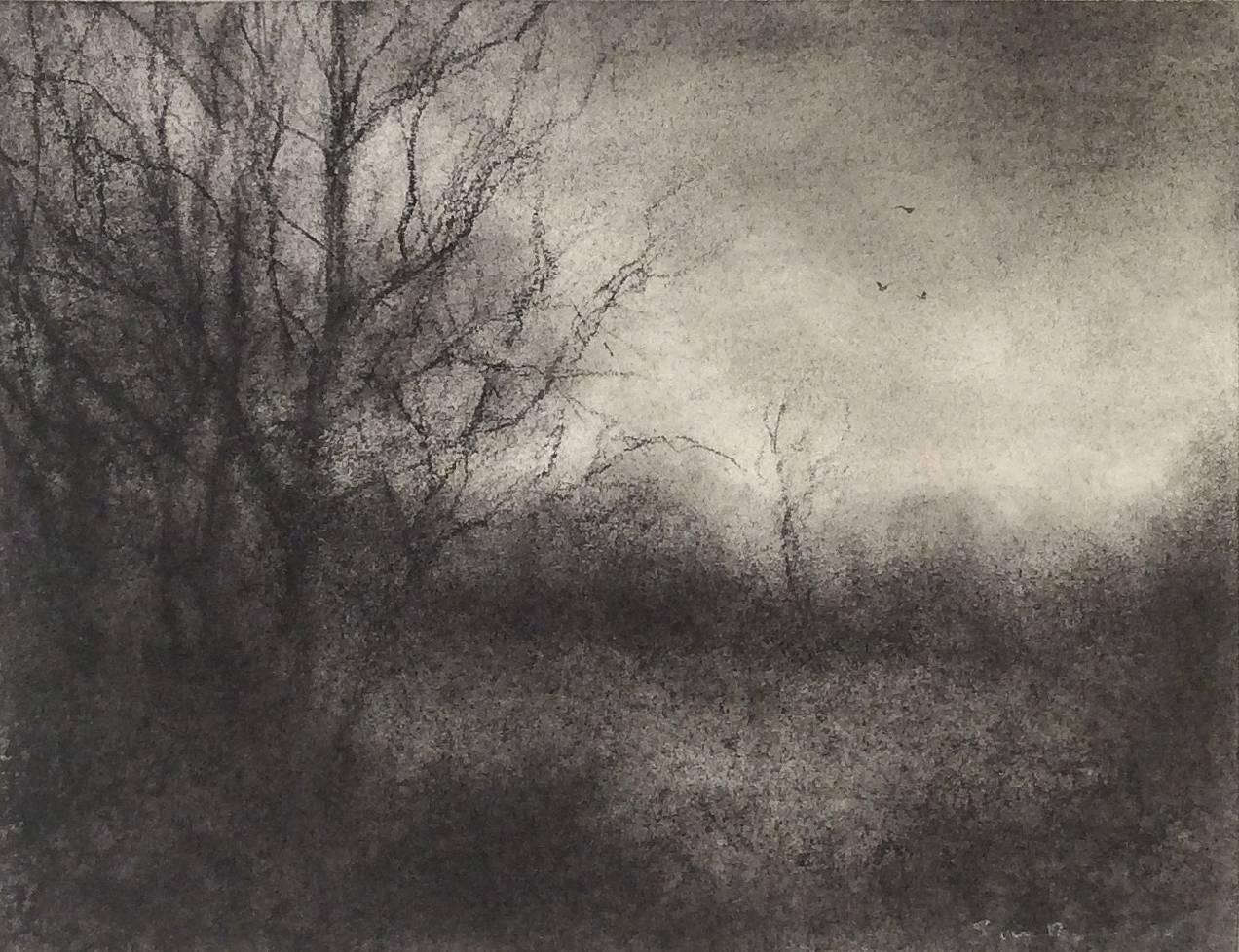 Sue Bryan Landscape Art - Bog Road View 3 (Modern, Realistic Black & White Drawing of Trees in Landscape)