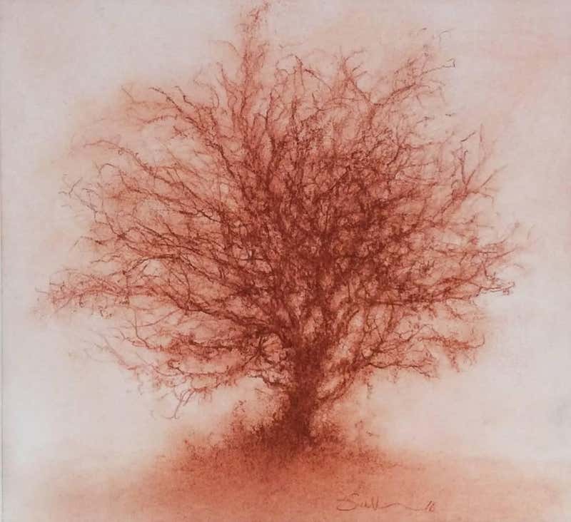 Sue Bryan Red Trees (Modern, Realistic Red Sanguine Chalk Drawing of