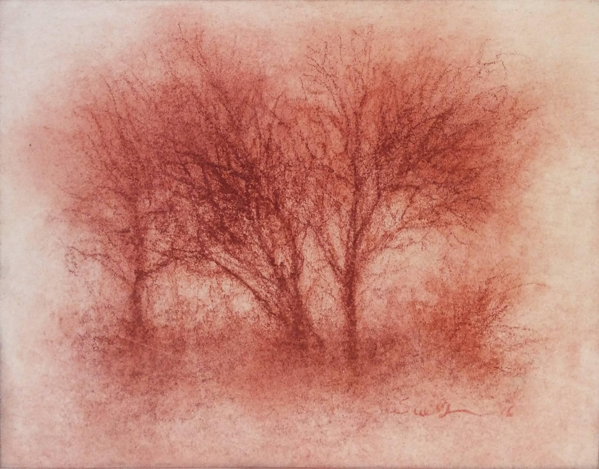Sue Bryan Landscape Art - Red Trees (Modern, Realistic Red Sanguine Chalk Drawing of Trees in Landscape)