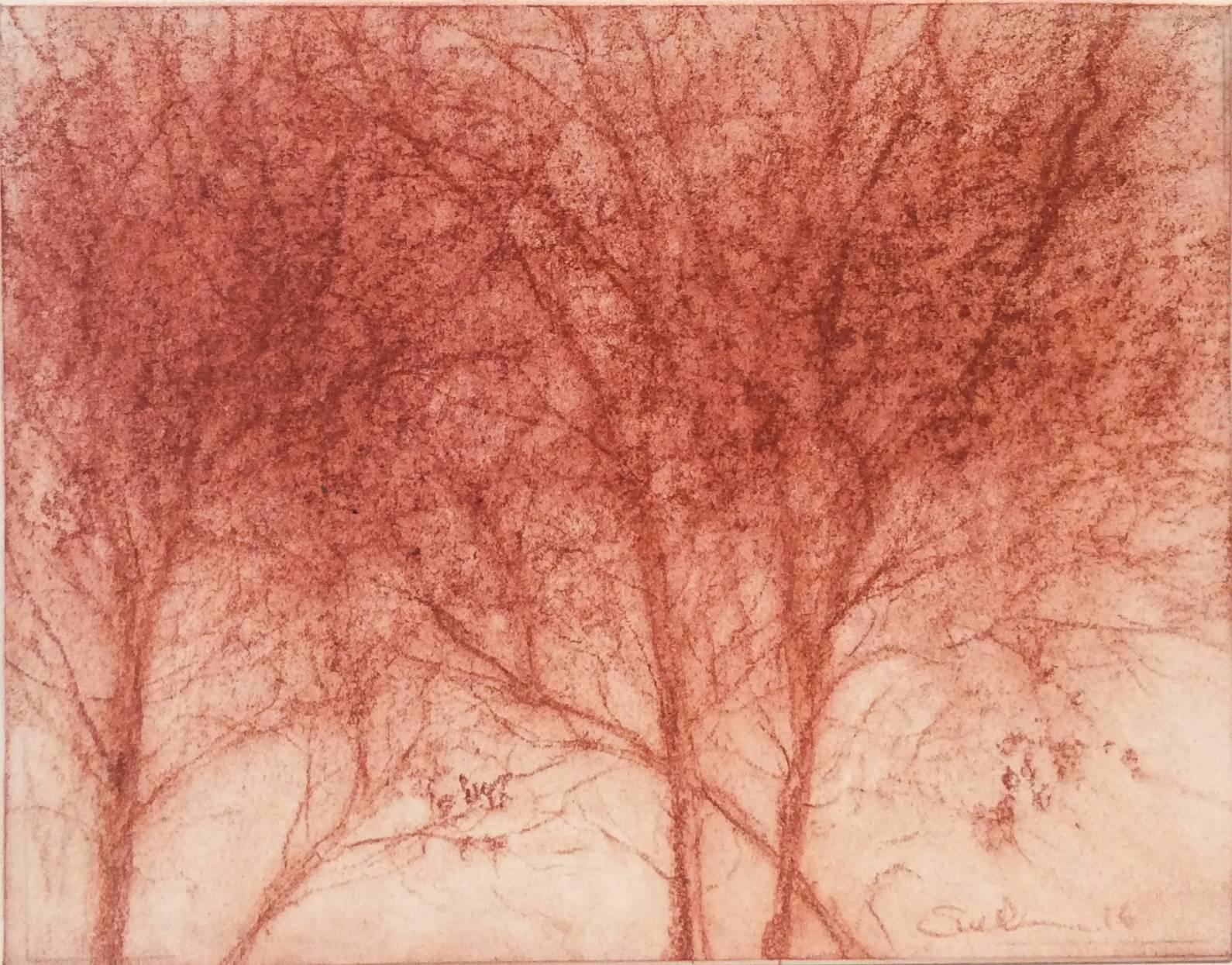Sue Bryan Landscape Art - Red Trees 2 (Modern, Realistic Red Sanguine Chalk Drawing of Trees in Landscape)