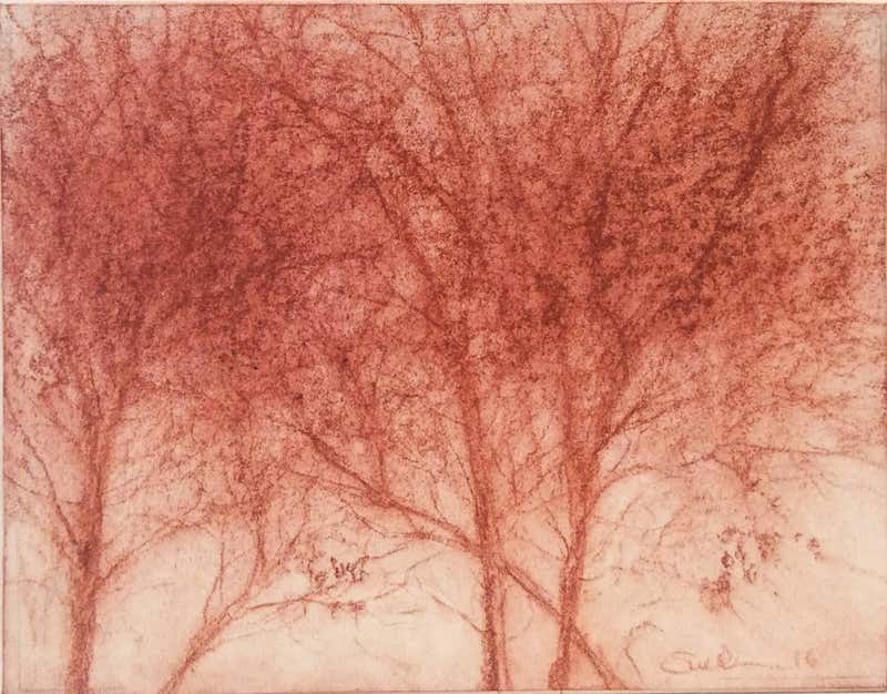 Sue Bryan Red Trees 2 (Modern, Realistic Red Sanguine Chalk Drawing