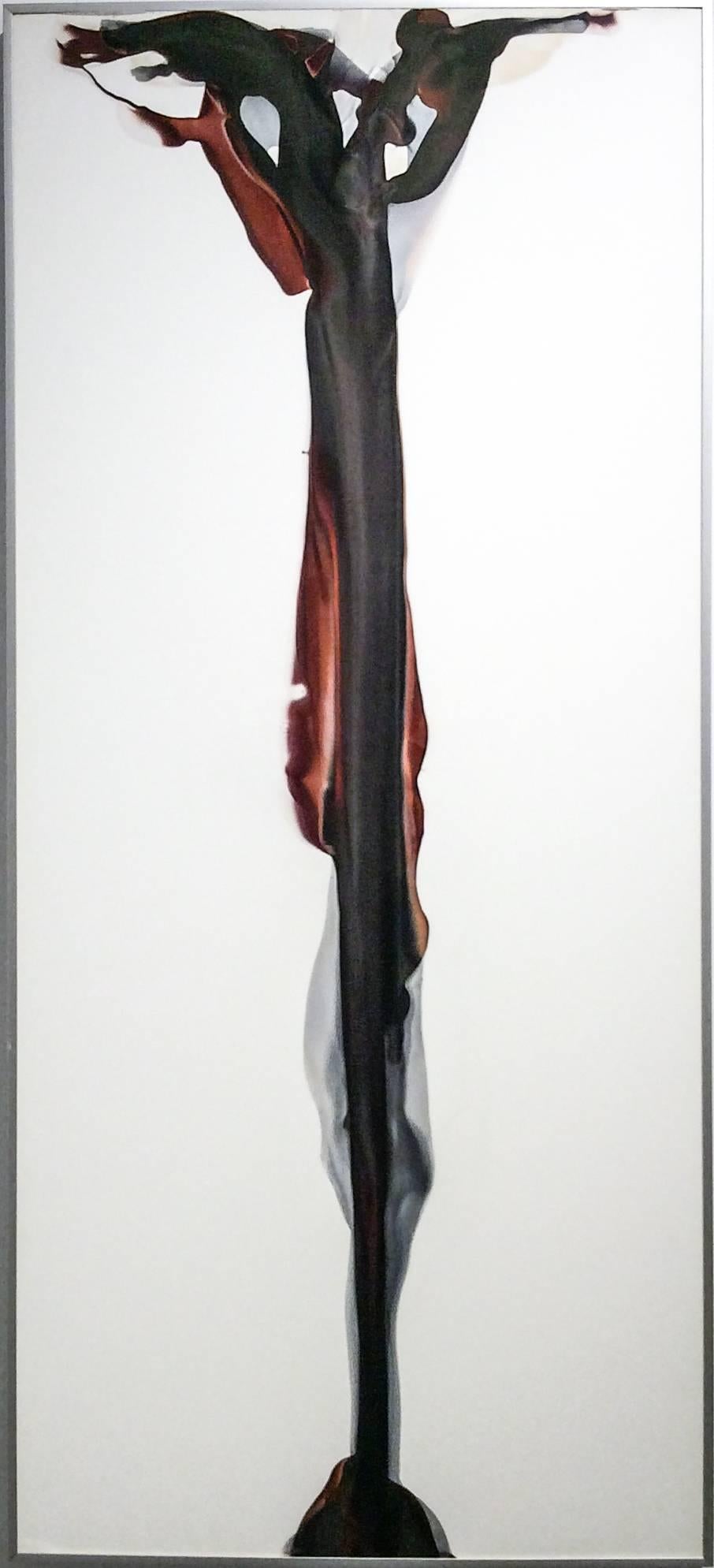 Birgit Blyth Abstract Painting – Veil No. 12 (Abstrakte fotografische Fotografie ohne Kamera mit erdfarbener Palette auf Weiß)