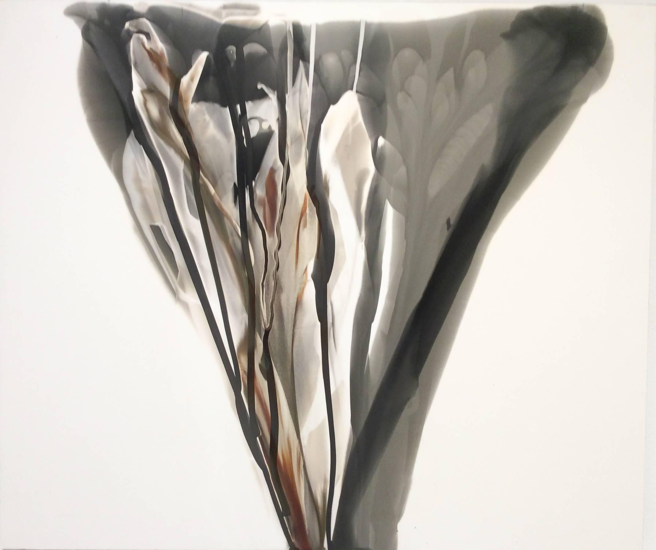 Birgit Blyth Abstract Painting – Veil 18 (Abstrakte fotografische Fotografie ohne Kamera mit neutraler Palette auf Weiß)
